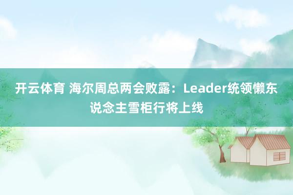 开云体育 海尔周总两会败露：Leader统领懒东说念主雪柜行将上线