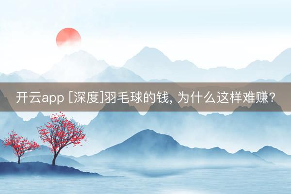 开云app [深度]羽毛球的钱, 为什么这样难赚?